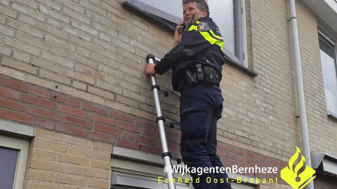 Politie vindt hennepkwekerij en lachgas in woningen in Heesch