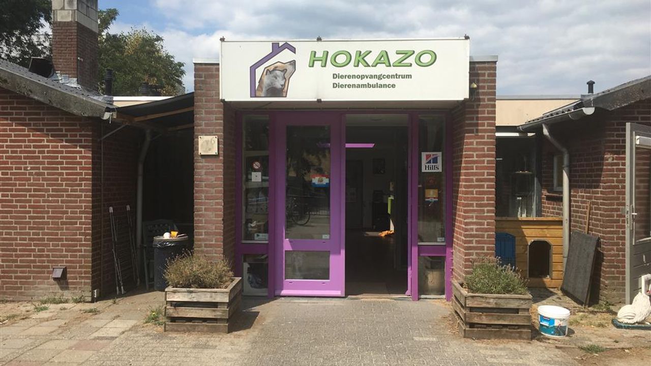 Dierenopvang Hokazo in financieel zwaar weer, voortbestaan onzeker
