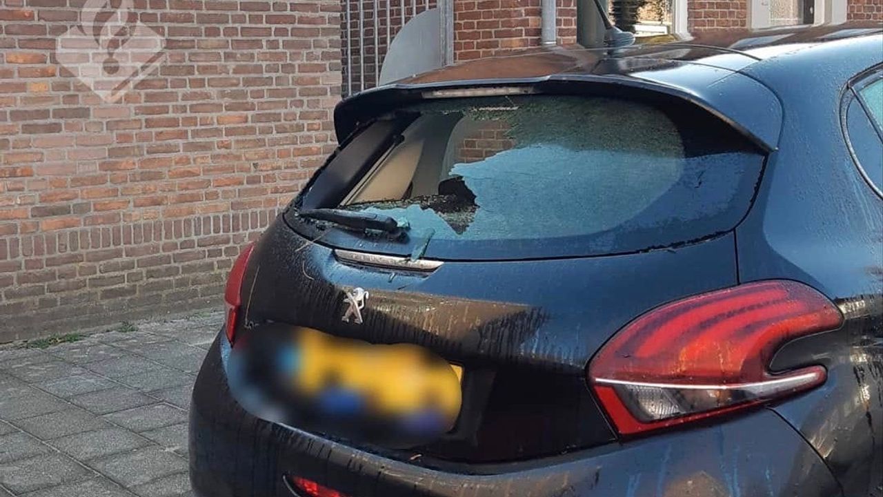Politie Den Bosch zoekt getuigen van autovernielingen