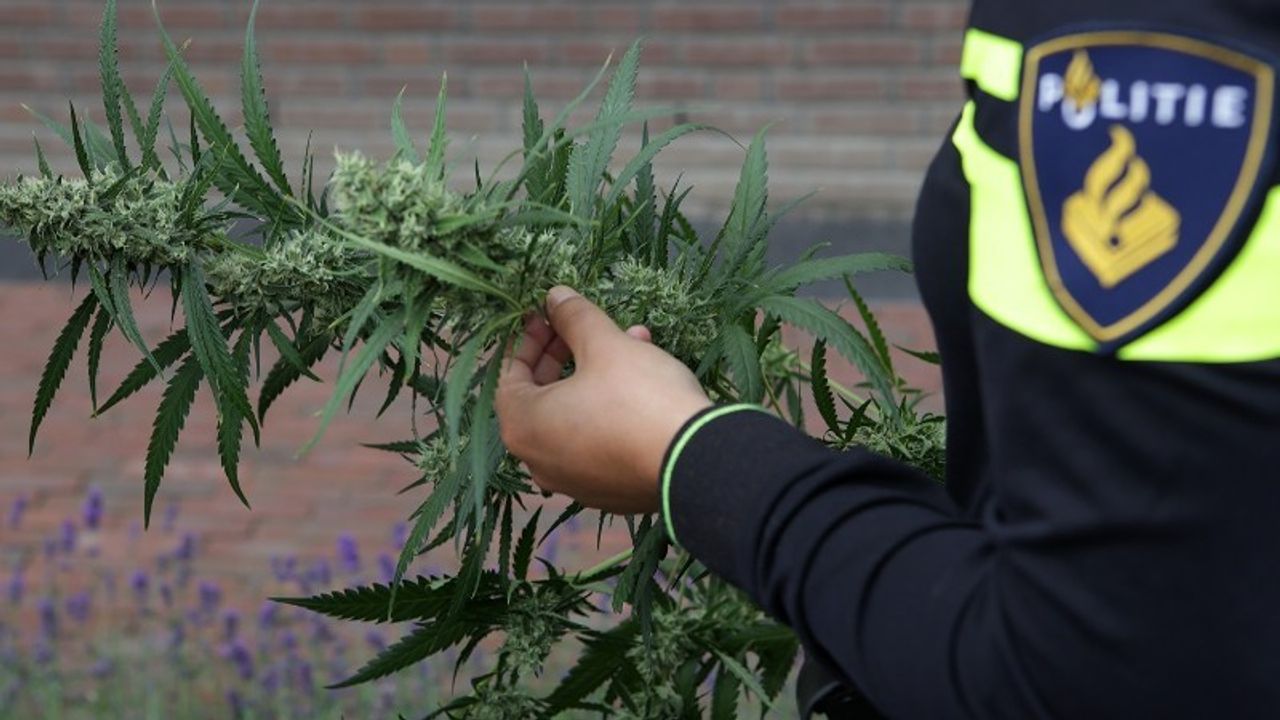 Waterlekkage leidt politie naar hennepkwekerij in Uden
