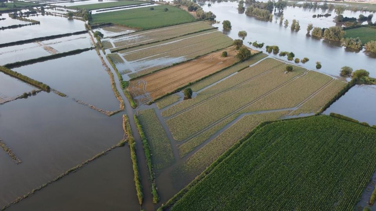 Miljoenen euro's schade voor Brabantse boeren door overstromingen Maas