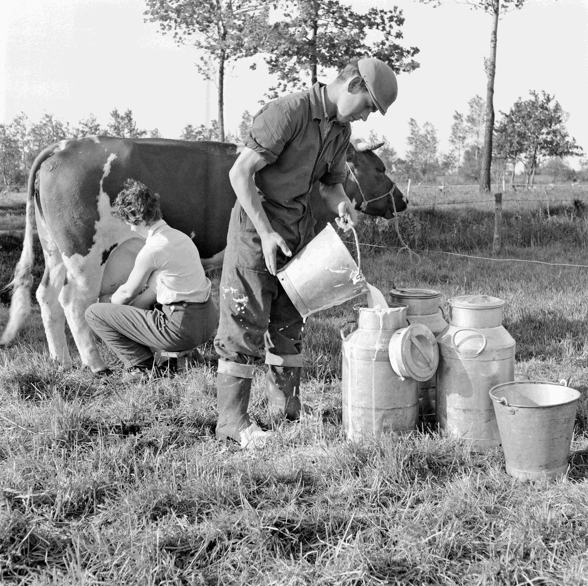 Dtv Nieuws Grote Fotocollectie Toont Boerenleven In De Jaren 50 Tot 70